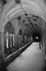 Abbey cloisters in black and w