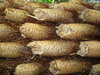 Fern trunk