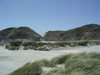 Windswept beach