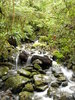 Mountain Stream 1