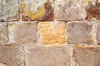 wall tex