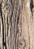 Weathered Wood