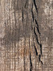Weathered Wood