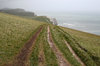 Coastal track