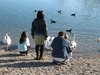 feeding the ducks