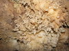 Cavescape