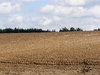 Field