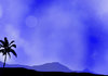 Desert Nights