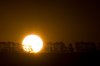 Sunset I