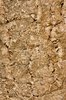 Bark Texture 1