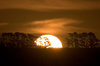 Sunset II