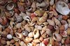 Beach texture 1