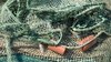 Fishing nets