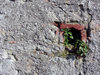 Hole in the Wall 2