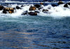 White water