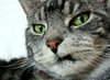 George