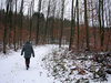 Walking in the Woods