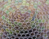 Circles
