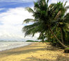 Tar Beach