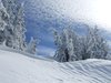 snowdunes
