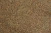 Floor Texture