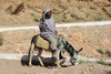 Farmer on donkey