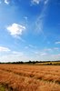 rural