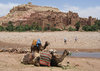 Camels at the kasbah, Taourit