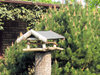 birds house