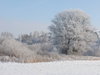White Winter 2