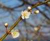 Springtime 2