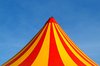 Circus is in town