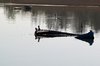 Reflections 4