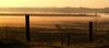 Morning mist 2
