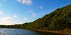 Coastline with forrest 2