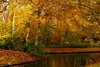 Autum in parks 1