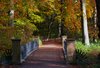 Autum in parks 3