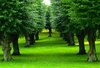 Summerpark 1