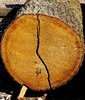 Tree Split