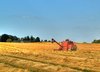 Harvest