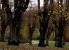 Autumn park