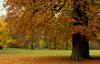 Autumn Park