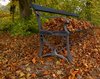 Leafs on bench