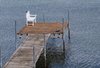 Boardwalk