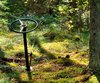Steering nature