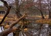 Wilderness - HDR