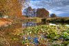 Lake - HDR