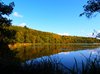 Forrest lake
