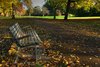 Fall in the park - HDR