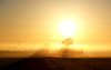 Morning mist
